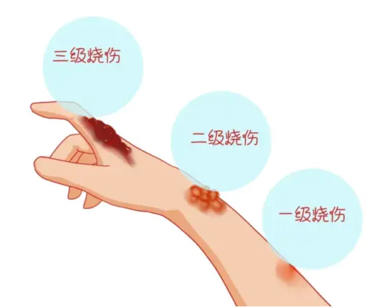 微信图片_20240704083339.jpg