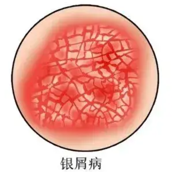 搜狗截图20251029093540.png